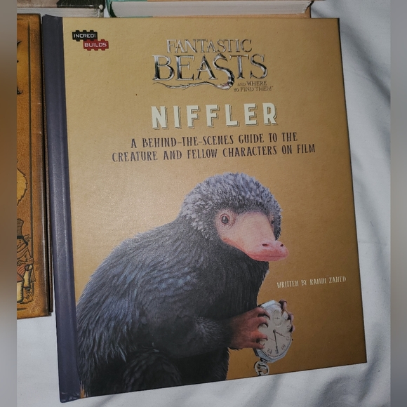 : 4 books The Spiderwick & edge of Chronicles unfortunate events fantastic beast - Picture 2 of 8